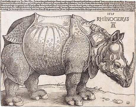 RhinocerosAlbrecht Dürer1515